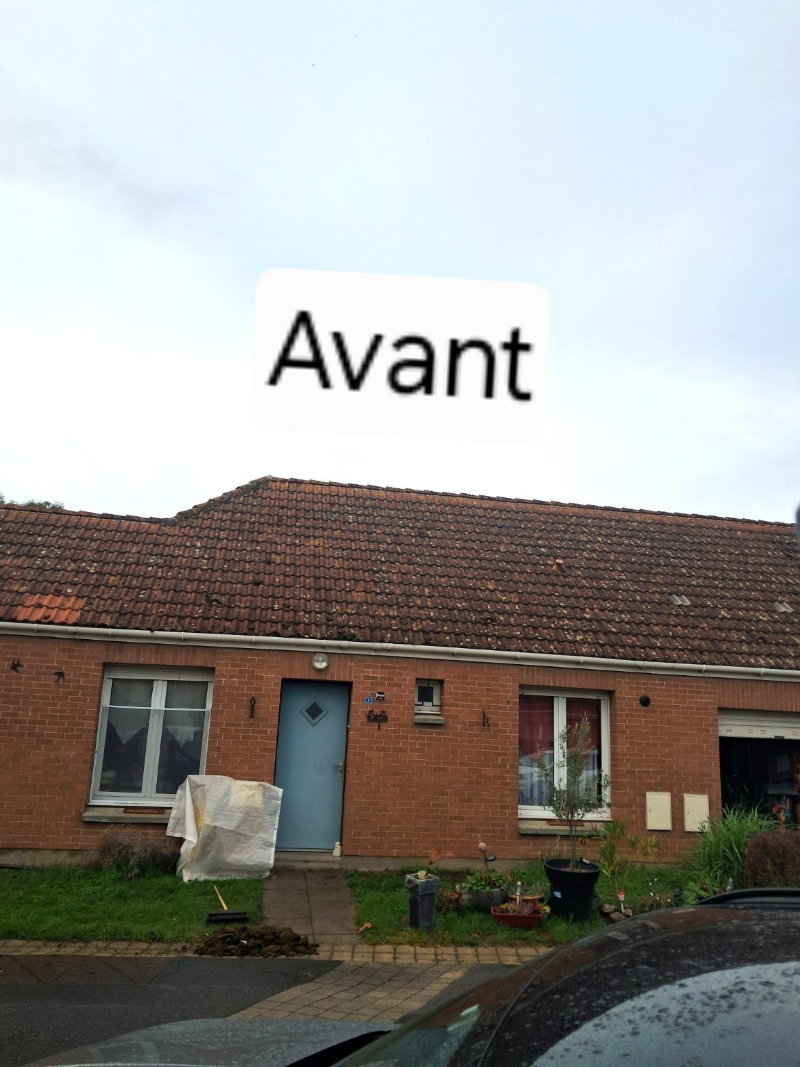 Avant